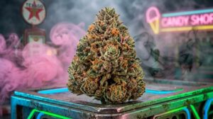 Bubblegum Diesel
