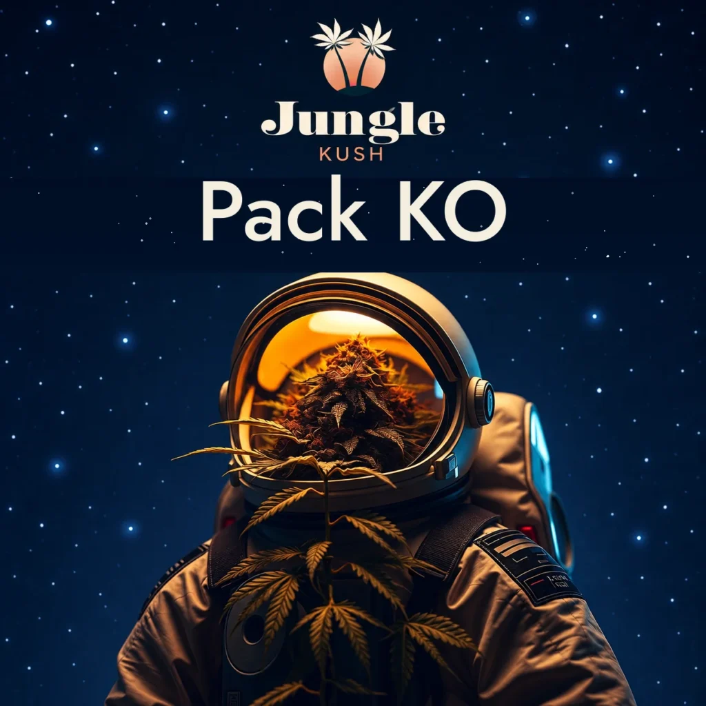 Pack KO 🥊 – Découverte Molécules